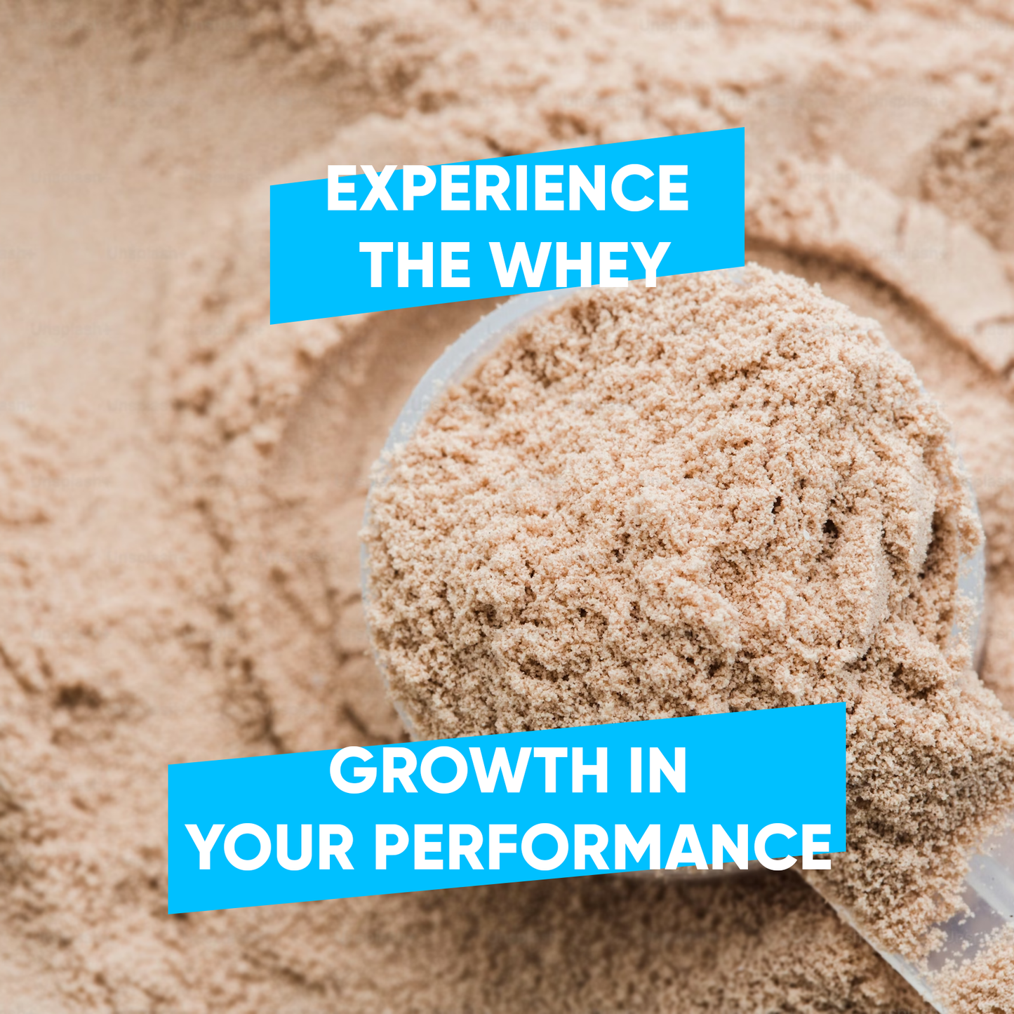 6 JAR OF PERFORMANCE WHEY